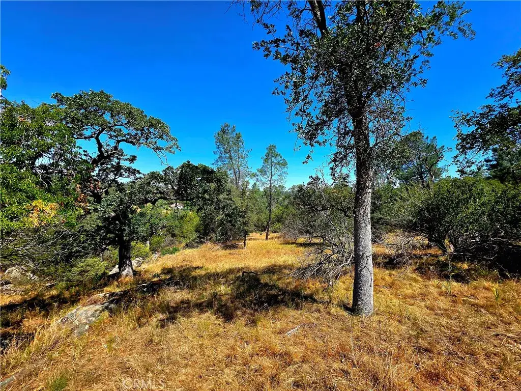 2 Corral, Coarsegold, CA 93614 - #1