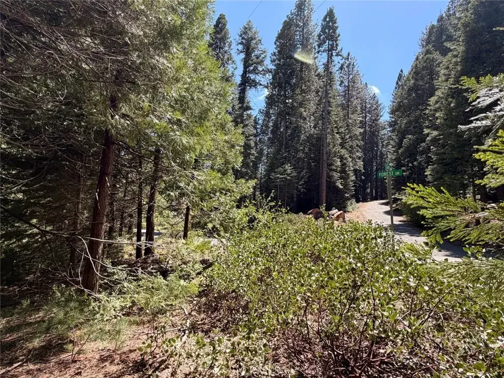 7631 Forest, Fish Camp, CA 93623 - #1