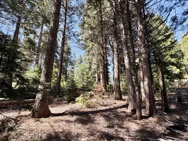 7631 Forest, Fish Camp, CA 93623 - #2