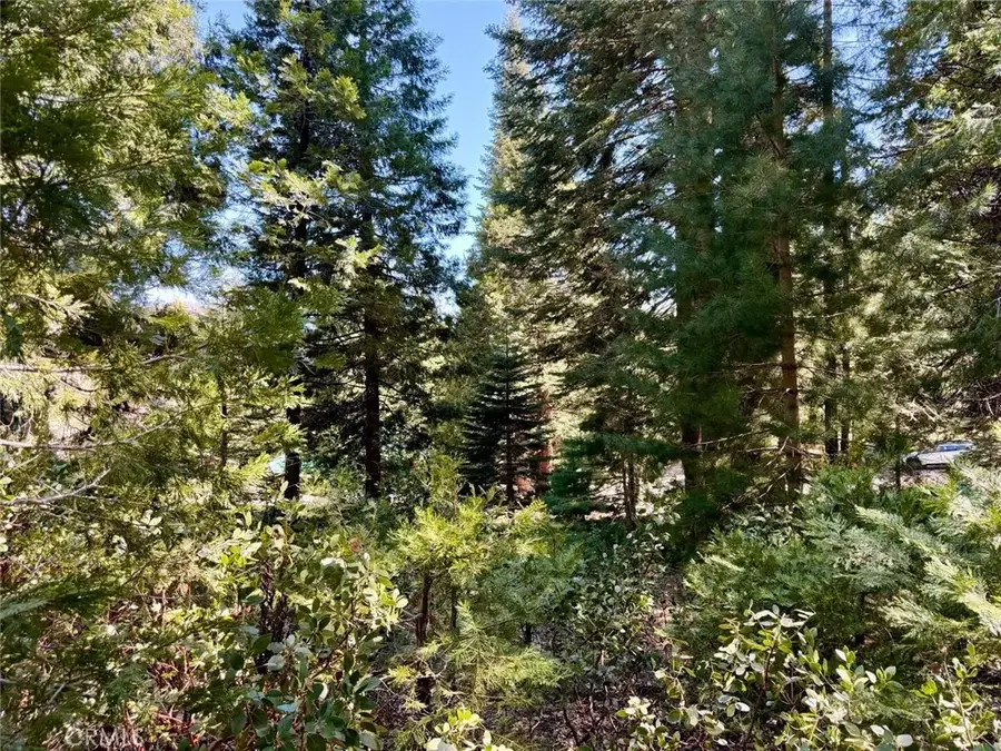 7631 Forest, Fish Camp, CA 93623 - #3