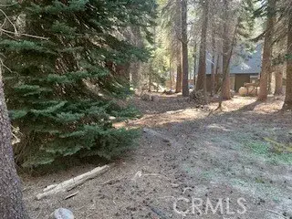 4142 Redtop, Bass Lake, CA 93604 - #2