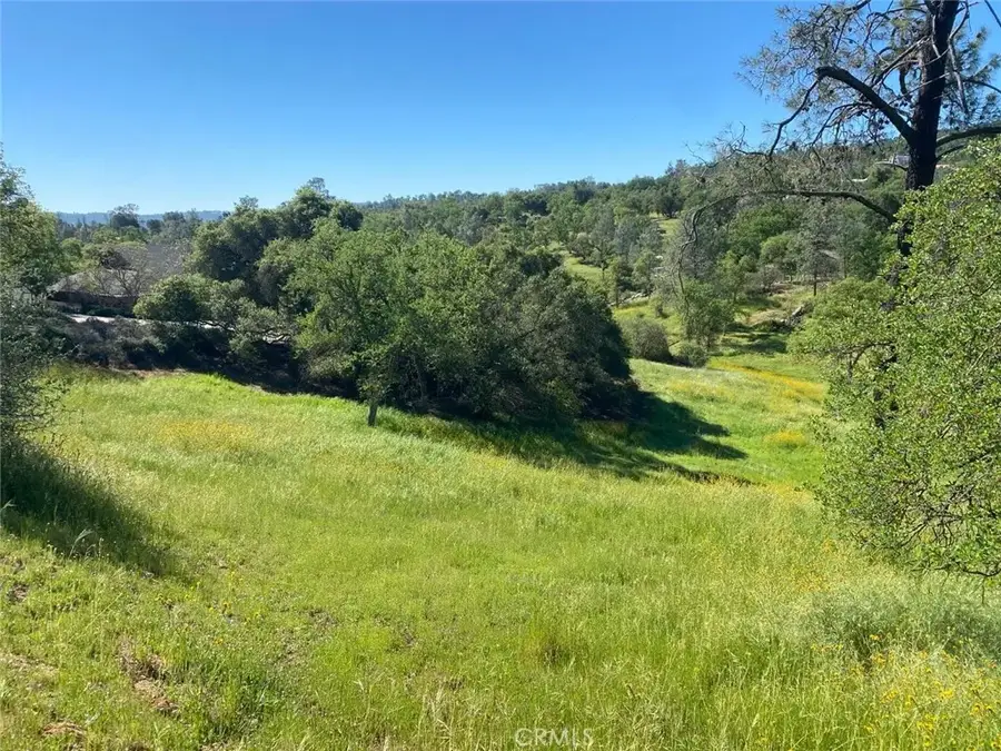 17 Titan, Coarsegold, CA 93614 - #2