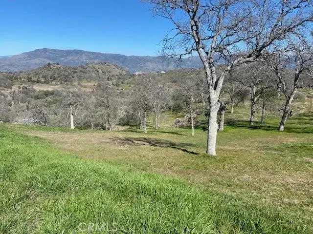0 Cardinal, Squaw Valley, CA 93675 - #3