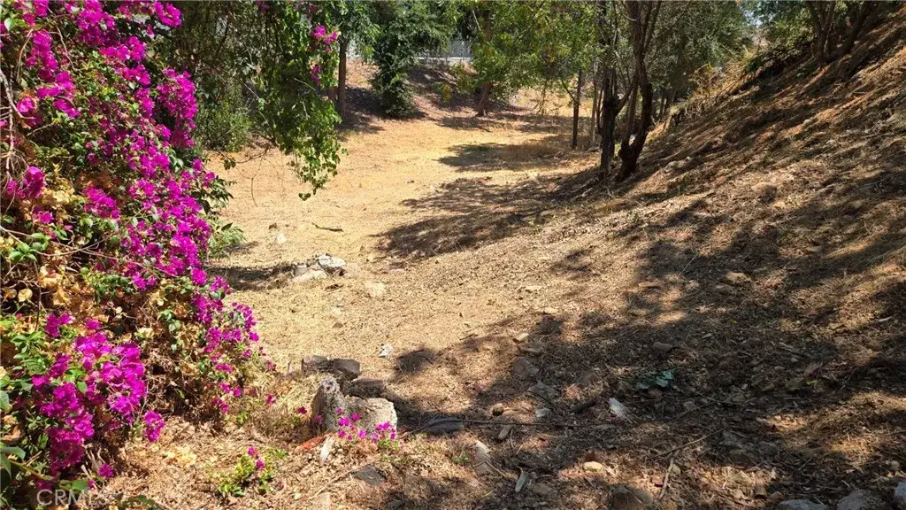 631 N Avenue 48, Los Angeles, CA 90042 - Image #1