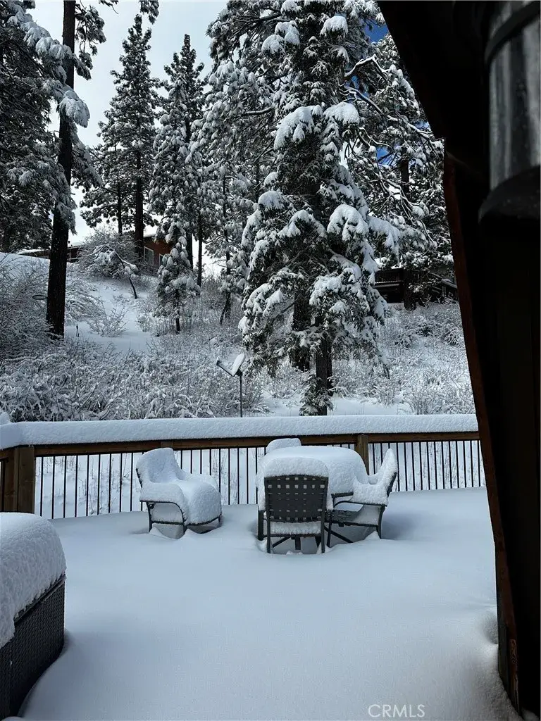 43433 Primrose Court, Big Bear Lake, CA 92315 - #2