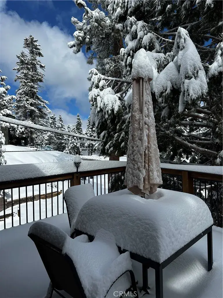 43433 Primrose Court, Big Bear Lake, CA 92315 - #3