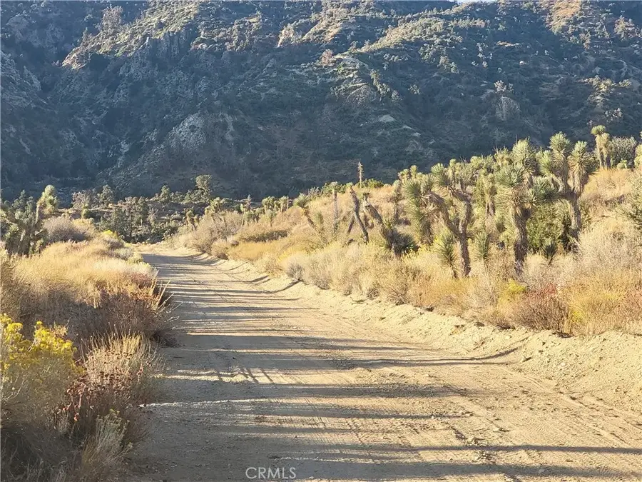 300 E Z12, Llano, CA 93544 - #2
