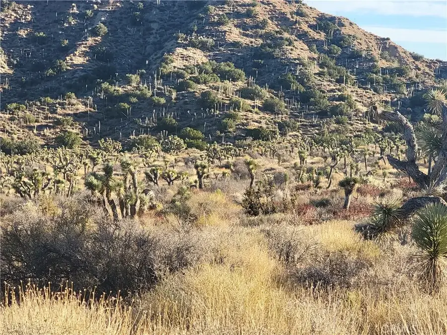 300 E Z12, Llano, CA 93544 - #3