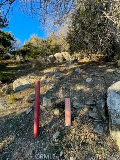 #2