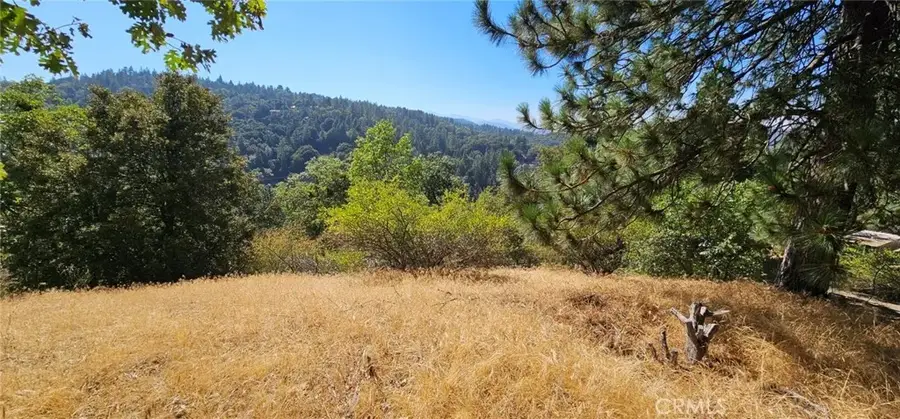 0 Edelweiss, Crestline, CA 92325 - Image #2