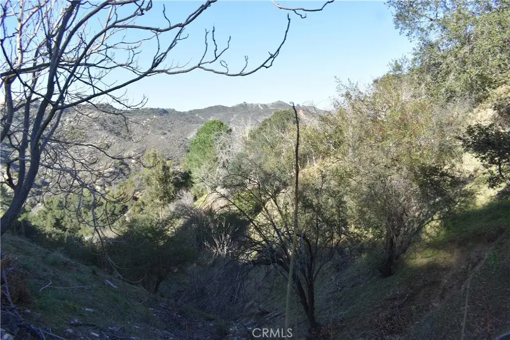 29935 Hickory Dr, Cedar Glen, CA 92321 - Image #1