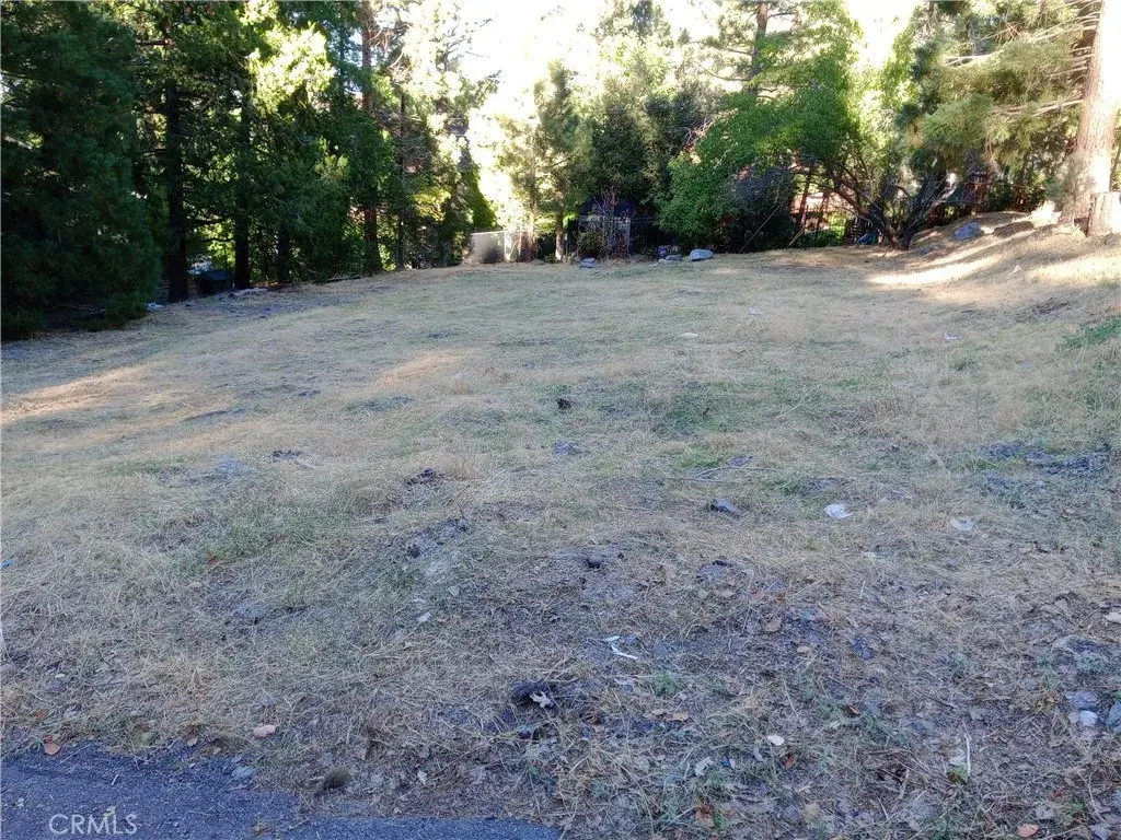 5457 Morning Star, Wrightwood, CA 92397 - #1