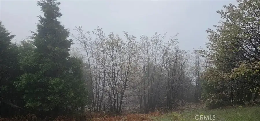 0 Bridal, Rimforest, CA 92378 - Image #2