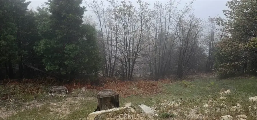 0 Bridal, Rimforest, CA 92378 - Image #3