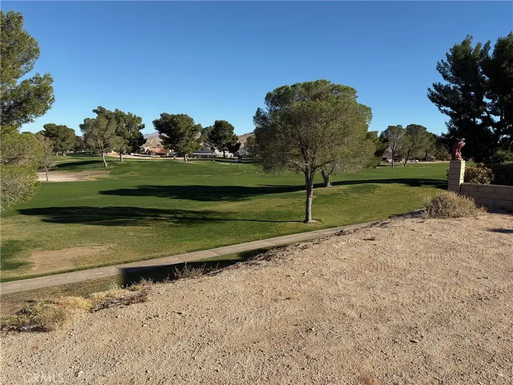 27449 Lakeview, Helendale, CA 92342 - Image #1