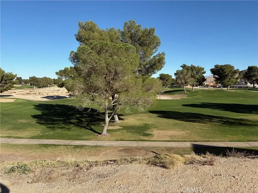 27449 Lakeview, Helendale, CA 92342 - Image #2