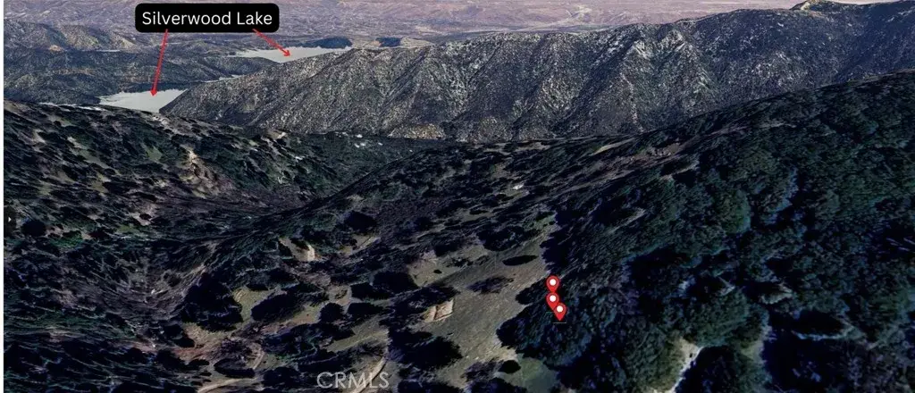 756 Mojave River (near), Cedarpines Park, CA 92322 - #1