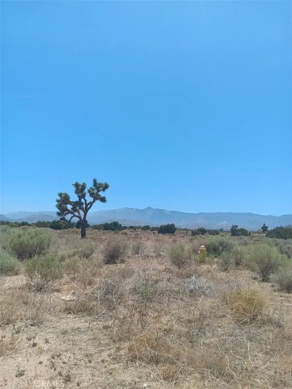 0 Yucca Terrace, Phelan, CA 92371