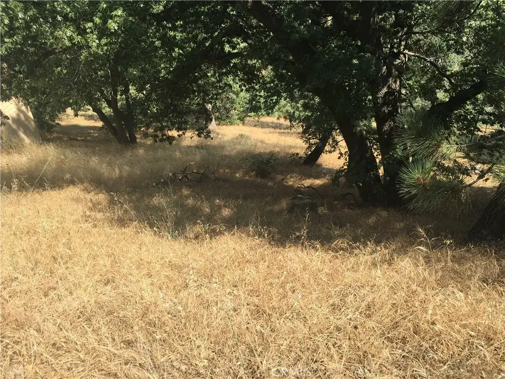 30481 Live Oak, Running Springs, CA 92382 - #1