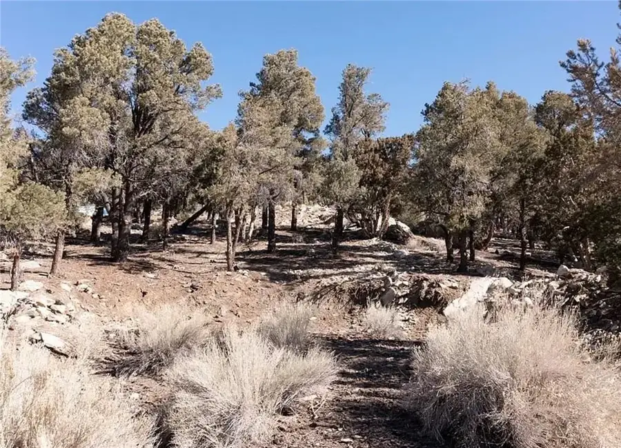 0 Lakeview, Big Bear City, CA 92314 - #2