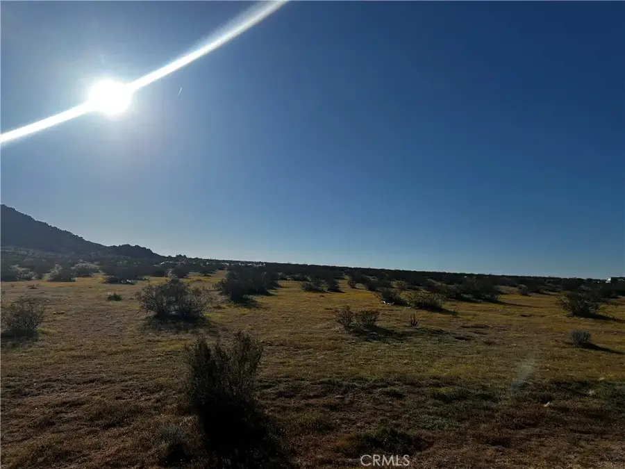 29 Pineridge, Adelanto, CA 92301 - #3