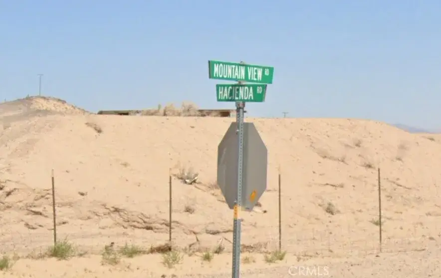 38850 Mountain View, Newberry Springs, CA 92365 - #2