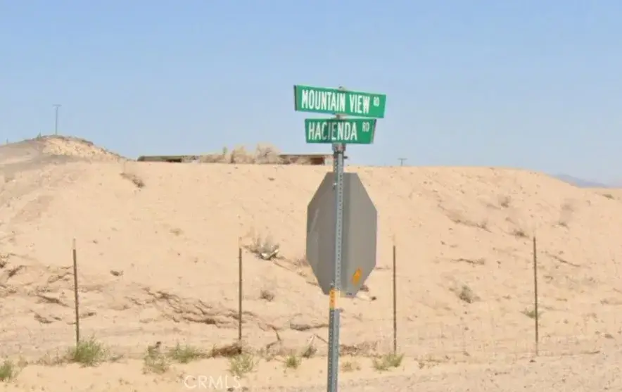 1 Mountain View, Newberry Springs, CA 92365 - #2