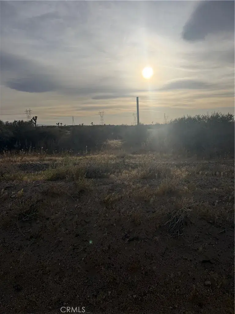 25 Aster, Adelanto, CA 92301 - #1