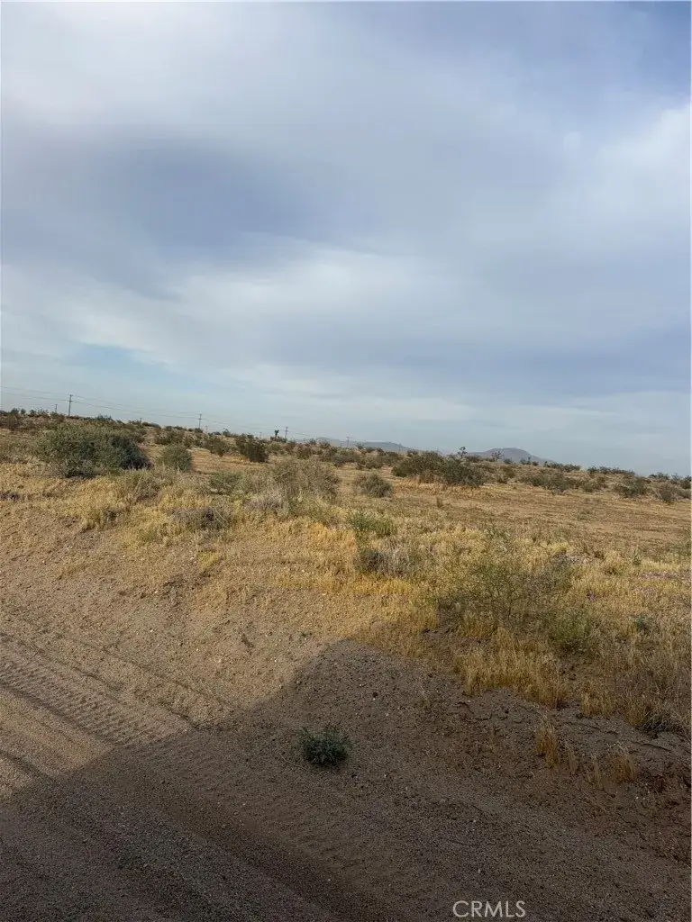 25 Aster, Adelanto, CA 92301 - #2