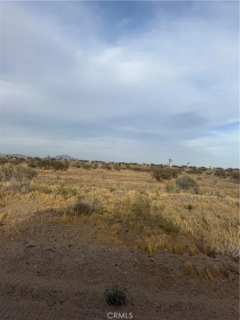 25 Aster, Adelanto, CA 92301 - #3