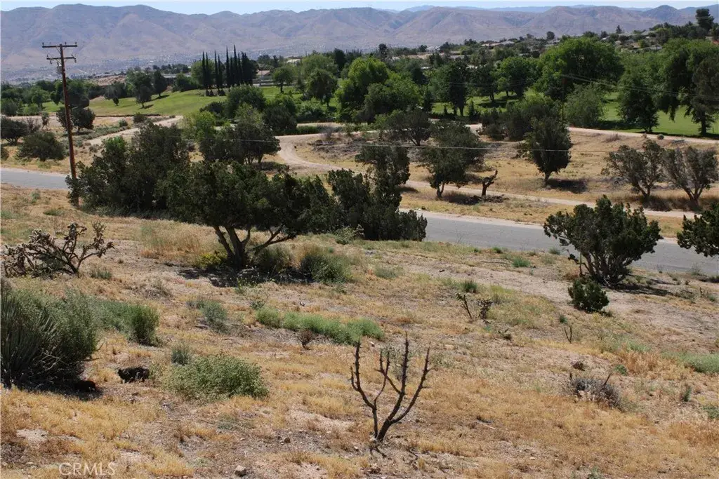 0 Buckthorn, Hesperia, CA 92345 - #1