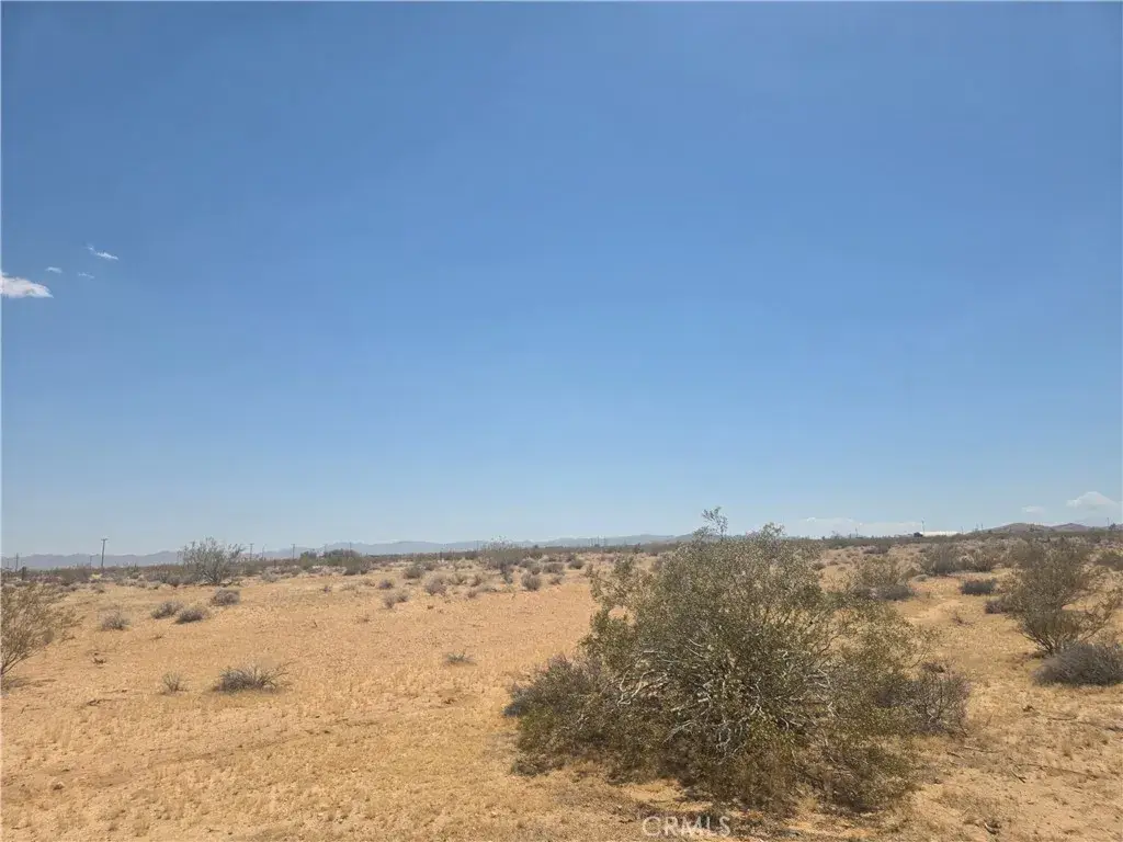 1 Venus, Joshua Tree, CA 92252 - #1
