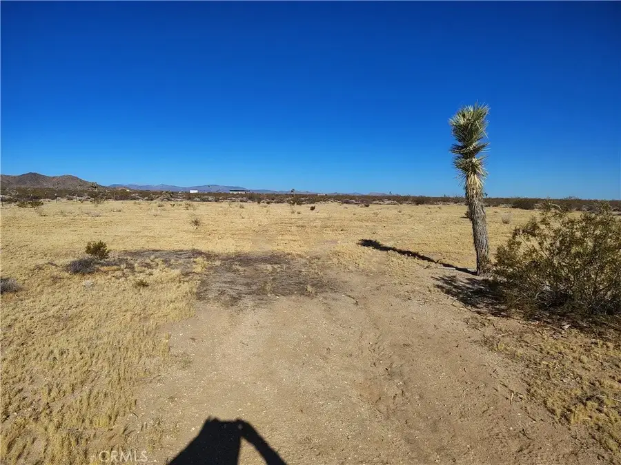 408 Stable, Landers, CA 92285 - #2