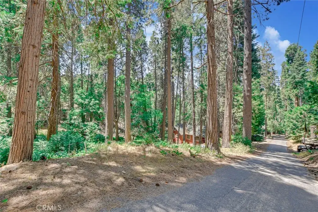590 Electra, Crestline, CA 92325 - #1