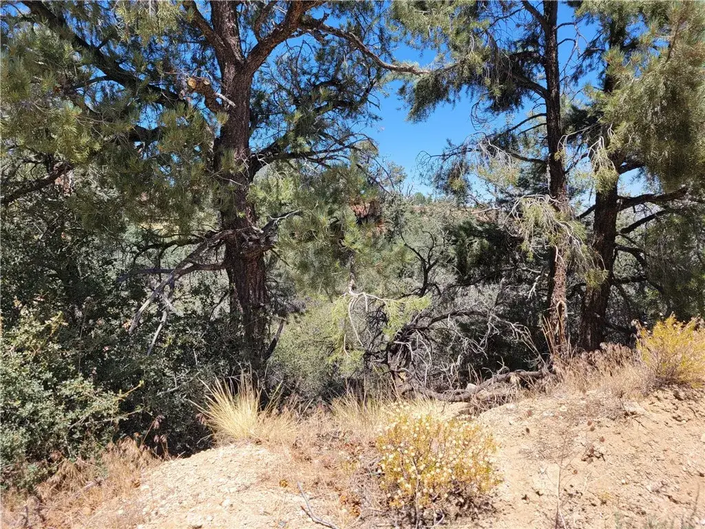 0 Old Oak Springs Valley, Wrightwood, CA 92397 - #1
