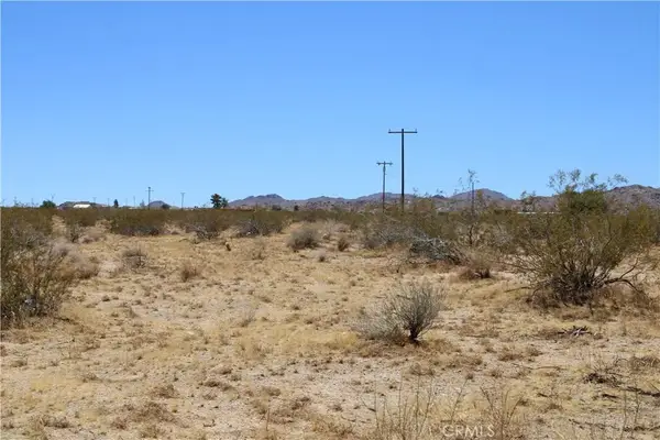 5 Joshua Tree, Johnson Valley, CA 92285