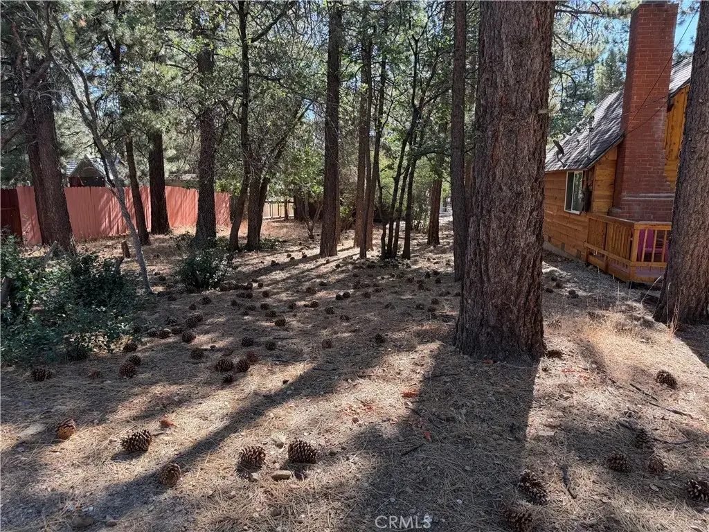 0 Moreno, Sugarloaf, CA 92386 - #1