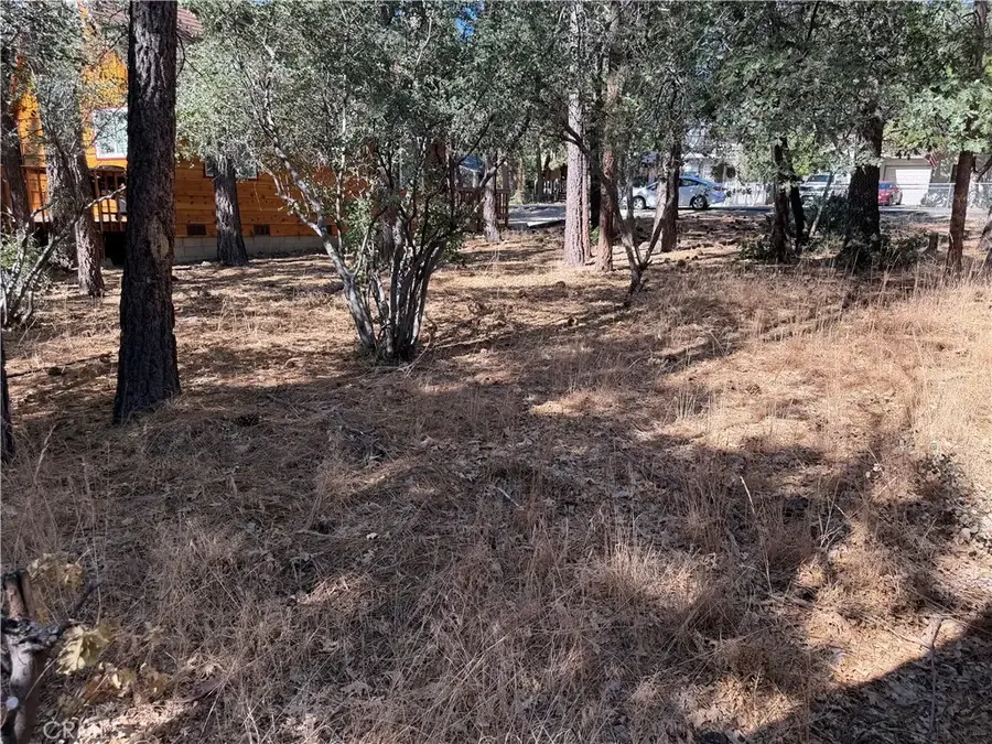 0 Moreno, Sugarloaf, CA 92386 - #2