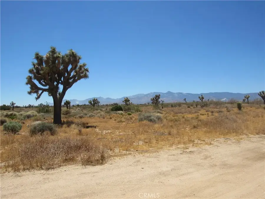 0 Goss, Phelan, CA 92371 - #3