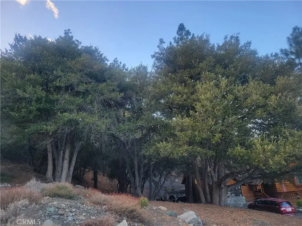 0 Desert View, Wrightwood, CA 92397 - #1