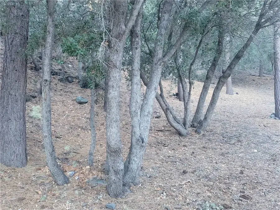 0 Desert View, Wrightwood, CA 92397 - #3