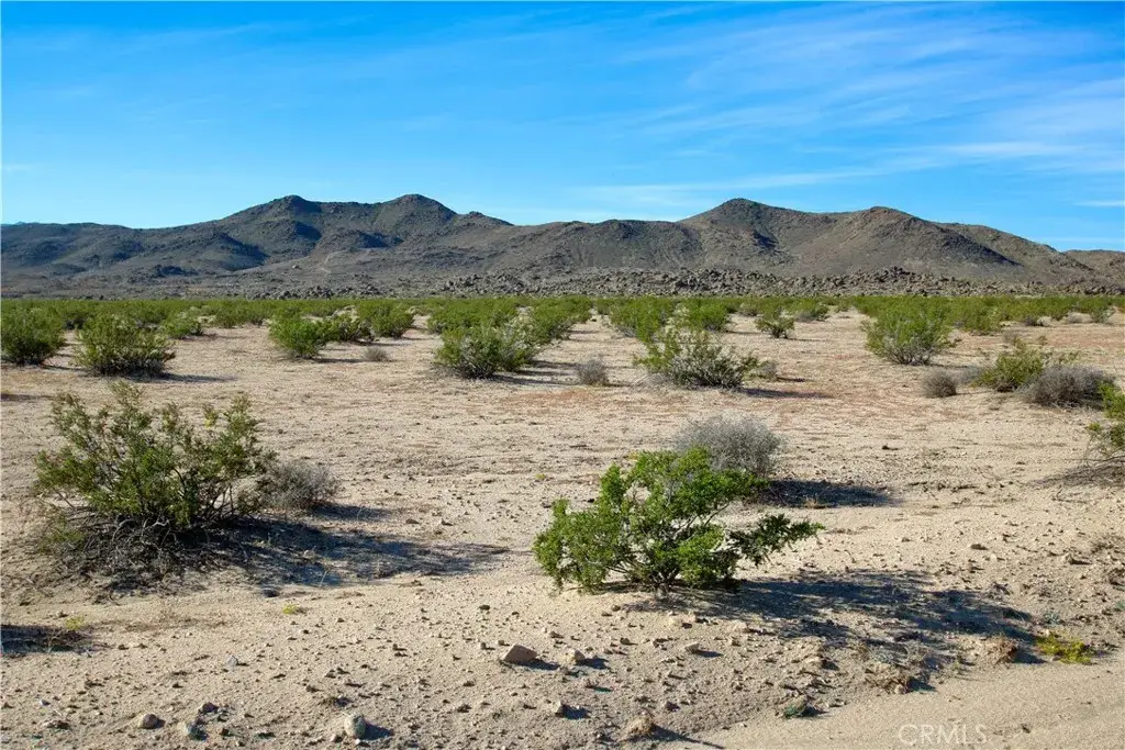 63305 Ranier, Joshua Tree, CA 92252 - #1