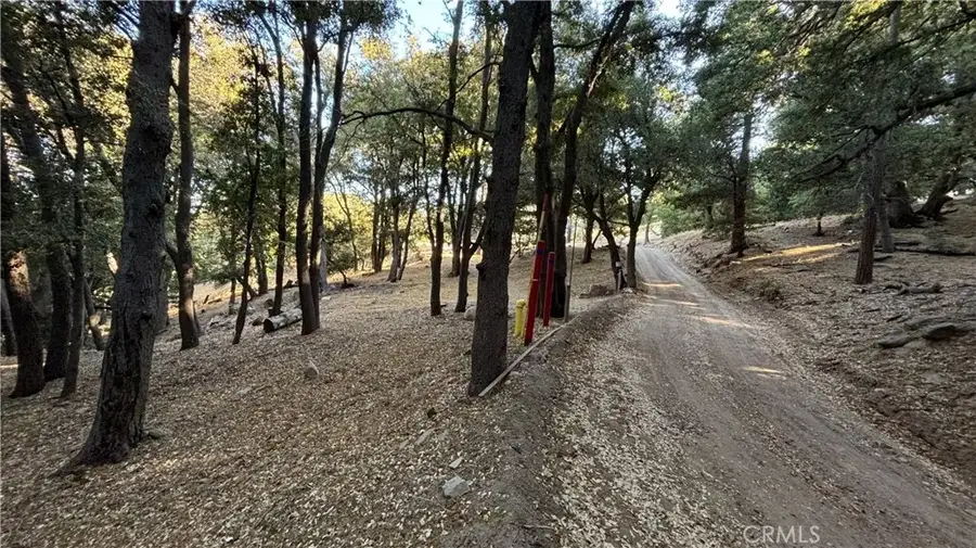 722 Mojave River, Cedarpines Park, CA 92322 - #3