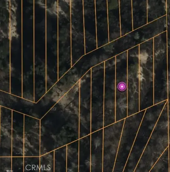 0 Lignum Vitae Drive, Cedar Glen, CA 92321