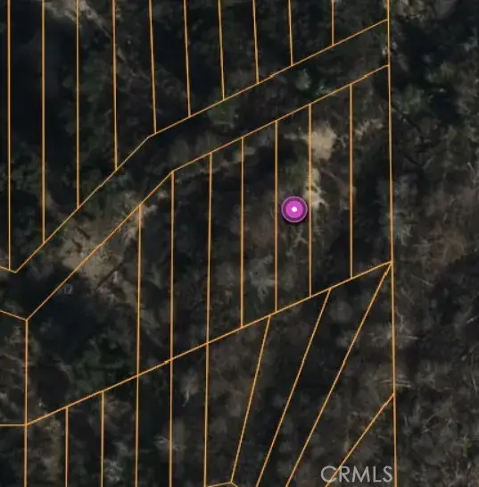 0 Lignum Vitae Drive, Cedar Glen, CA 92321
