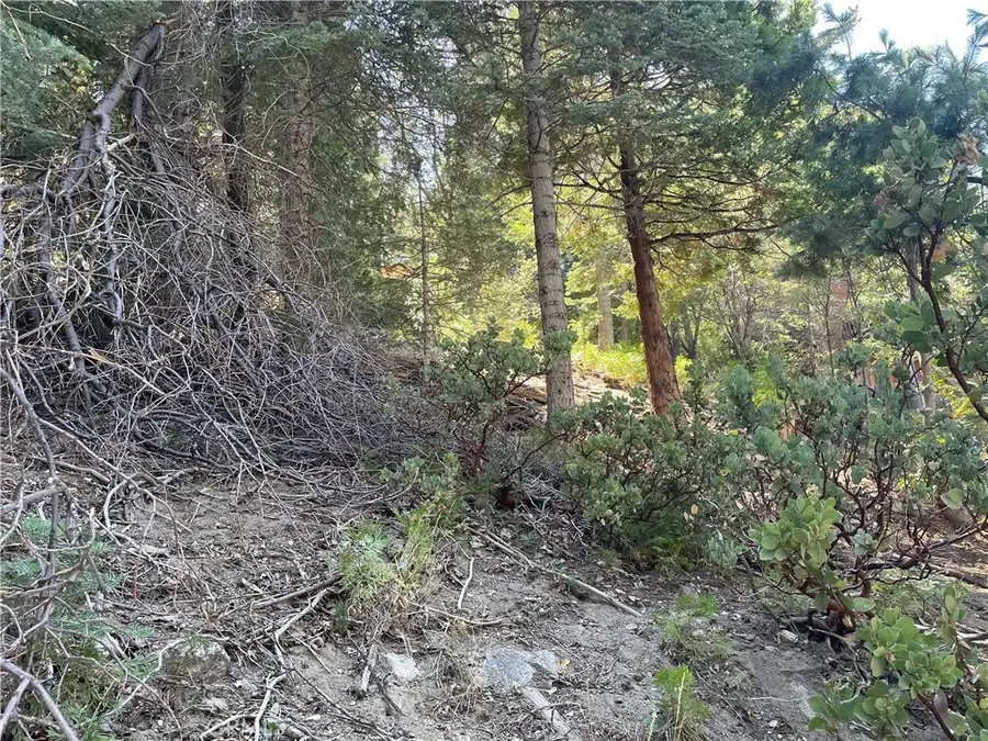 28 Lot 28 Forest, Twin Peaks, CA 92391 - Image #3