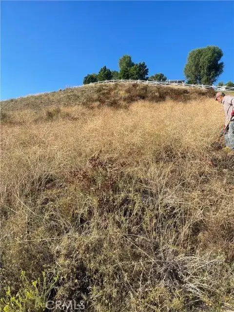 #2