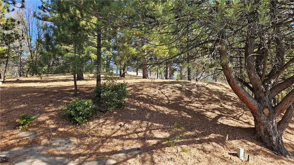 30061 Pixie, Running Springs, CA 92382 - Image #1