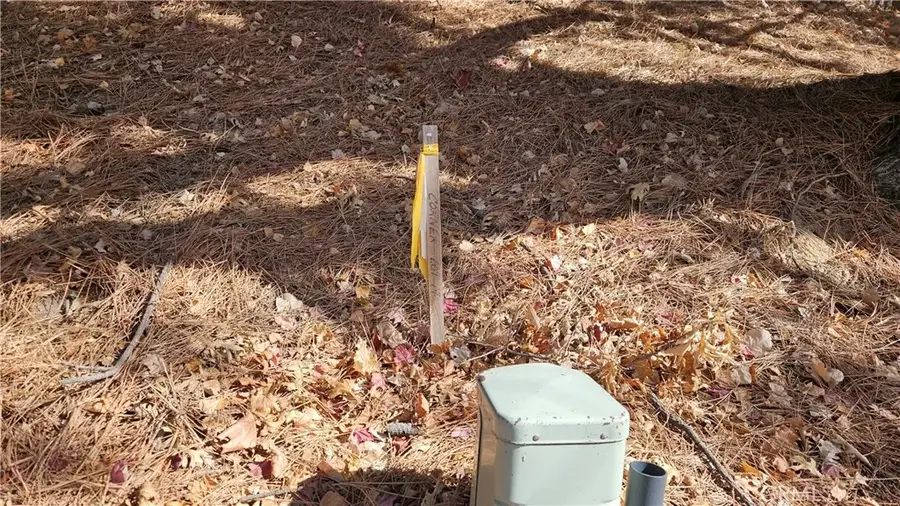 30061 Pixie, Running Springs, CA 92382 - Image #2