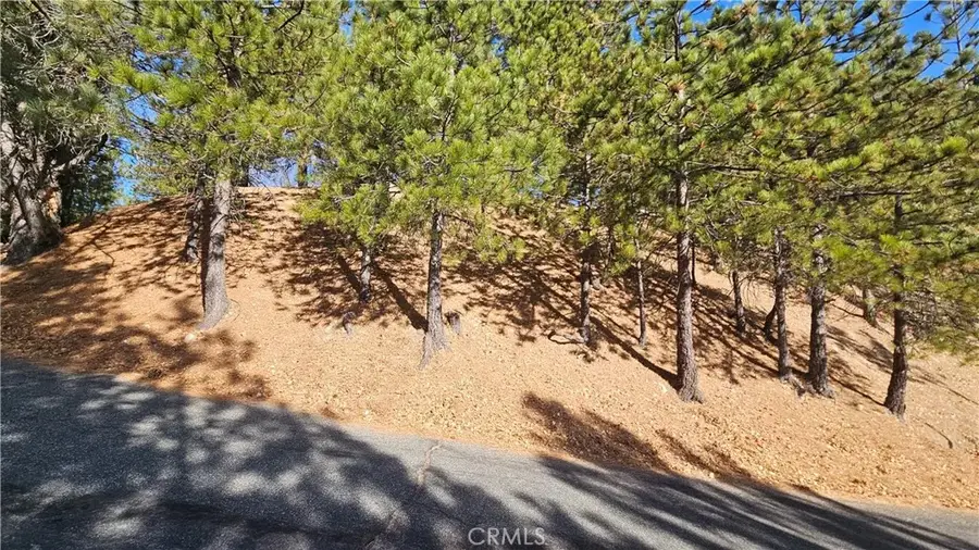 30061 Pixie, Running Springs, CA 92382 - Image #3